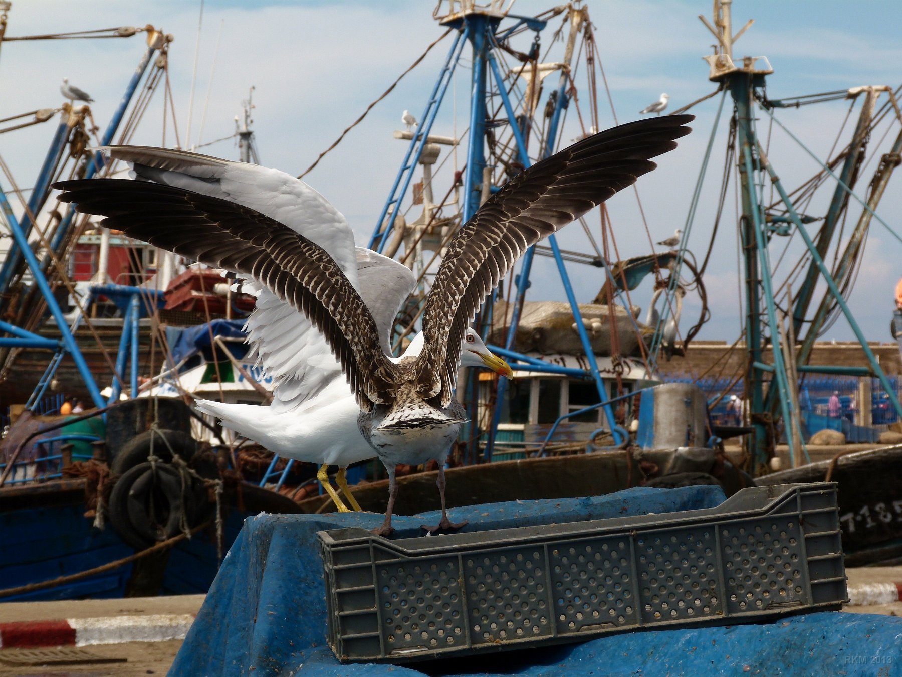 Essaouira